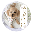 ラインスタンプサンプル